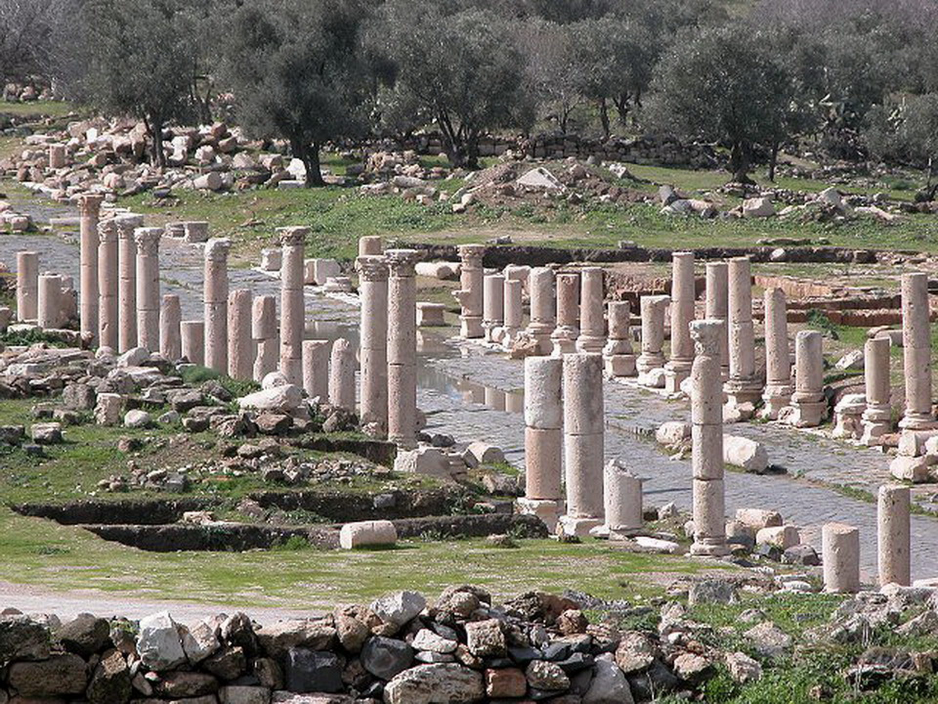 Discovering Umm Qais: A Gem Among Jordan's Villages